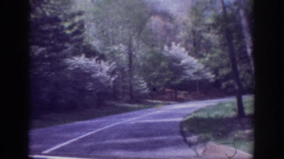 8mm home movie, circa 1963: a curving wooded road with pale flowering blossoms on roadside trees and a vehicle hood visible at the bottom of the frame.