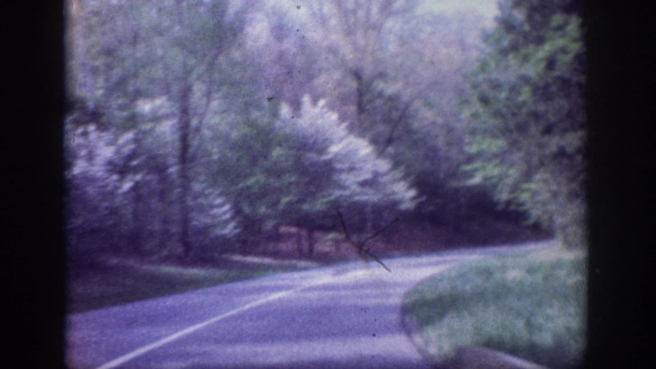 Winding wooded road with mixed deciduous trees and a wooden rail fence, shot on 8mm film, consistent with 1963 Tennessee home movie.