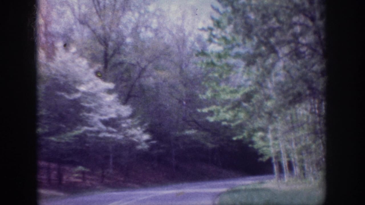 Wooded road continues through mixed deciduous trees with a wooden fence along the right side, 8mm film with purple cast.