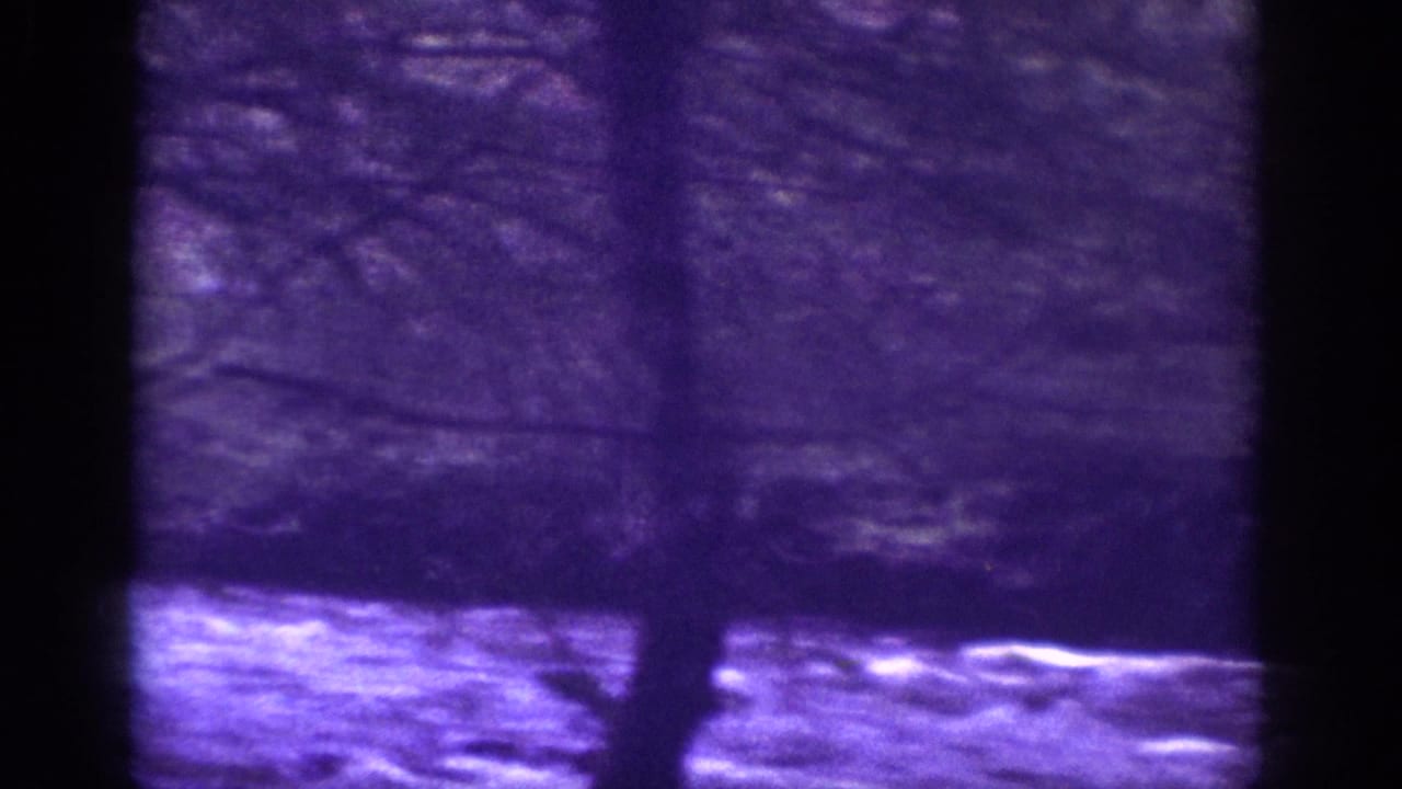 Purple-cast 8mm home movie frame circa 1963, Memphis Tennessee area, showing a river with rushing white-foam water and overhanging bare tree branches.