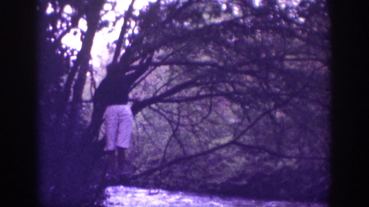 Man in light-colored shorts standing among dense bare tree branches, with water visible below, in purple-cast 8mm footage.