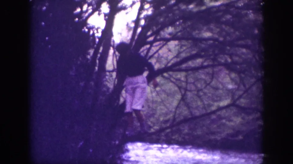 Purple-cast 8mm home movie frame circa 1963 showing a man in light shorts climbing or traversing bare tree branches along a forested riverbank.