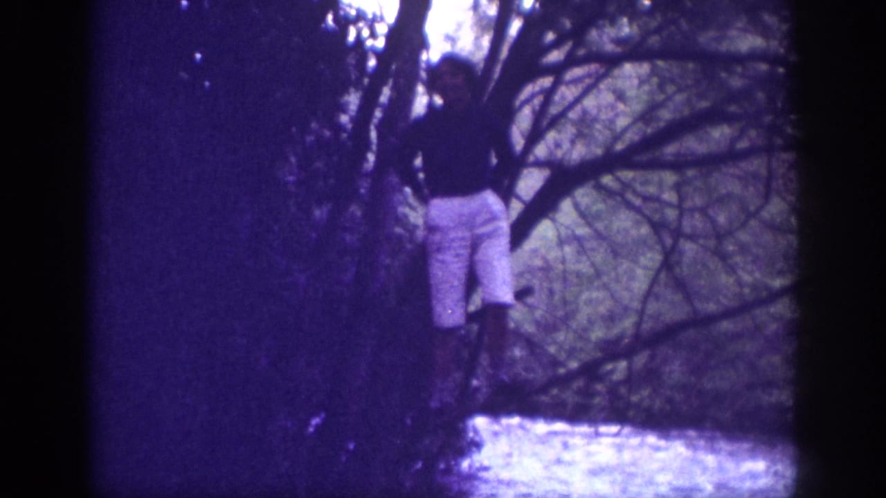 Adult male near a small stream among bare deciduous trees; 8mm home movie from Memphis, Tennessee, 1963, with pronounced violet dye shift.