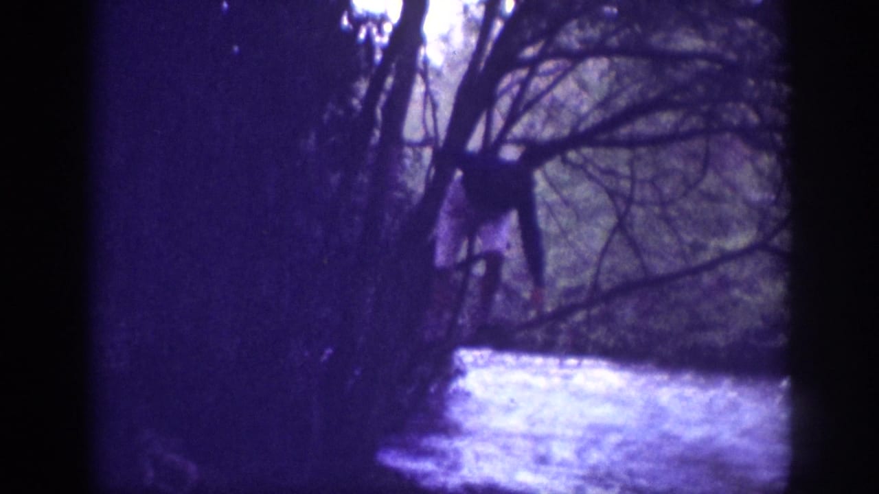 Wooded stream scene with a partially obscured figure among bare tree trunks; strong violet color cast and grain.