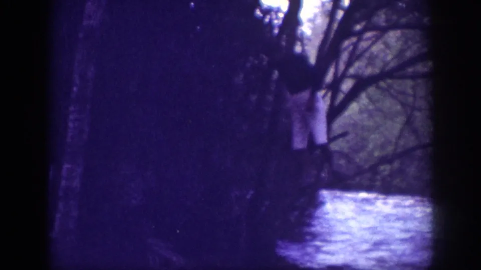 Adult male near stream bank amid bare deciduous trees; 8mm home movie Memphis, Tennessee, 1963, heavy grain and violet dye shift.