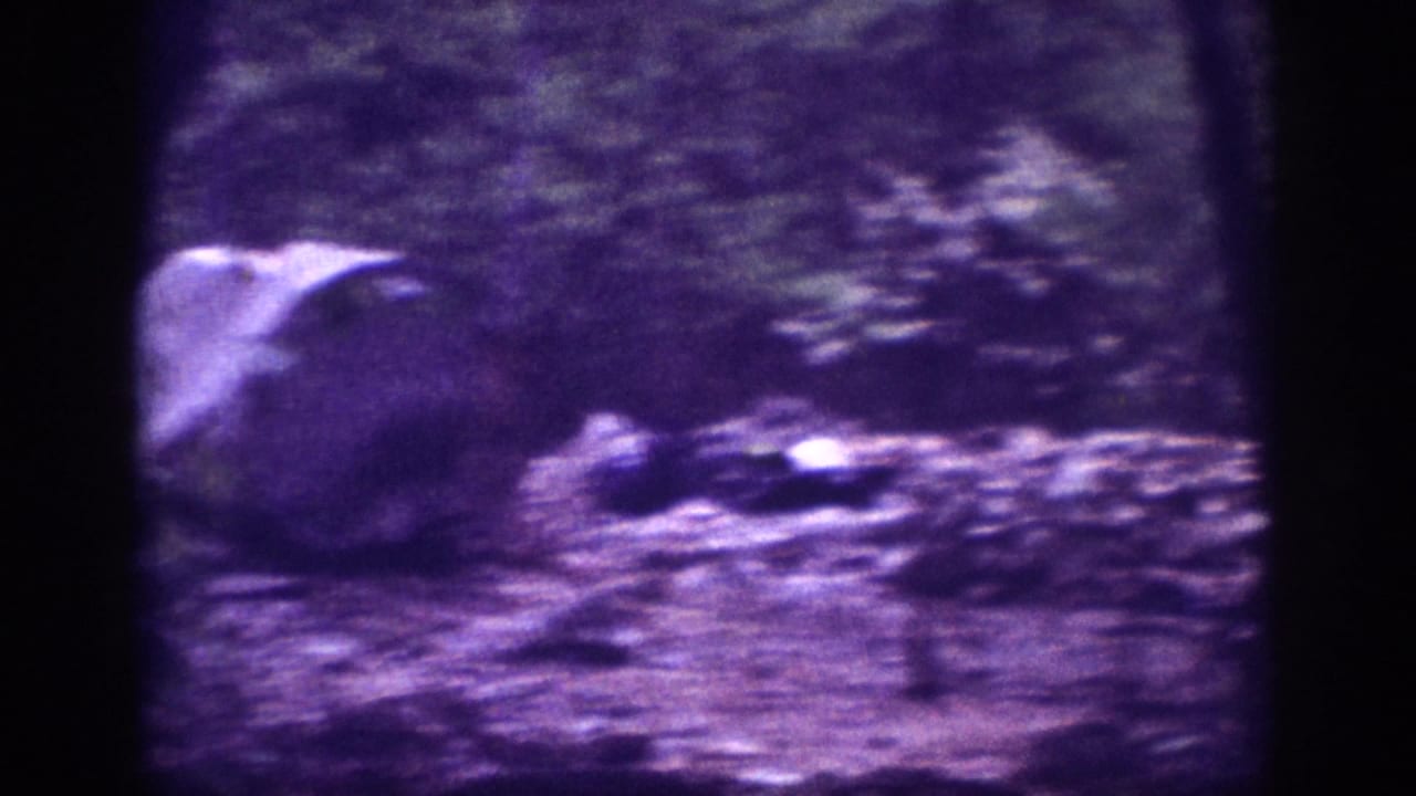 Rock formation amid trees and dense undergrowth; a figure appears partially visible in this heavily purple-shifted 8mm frame from circa 1963.