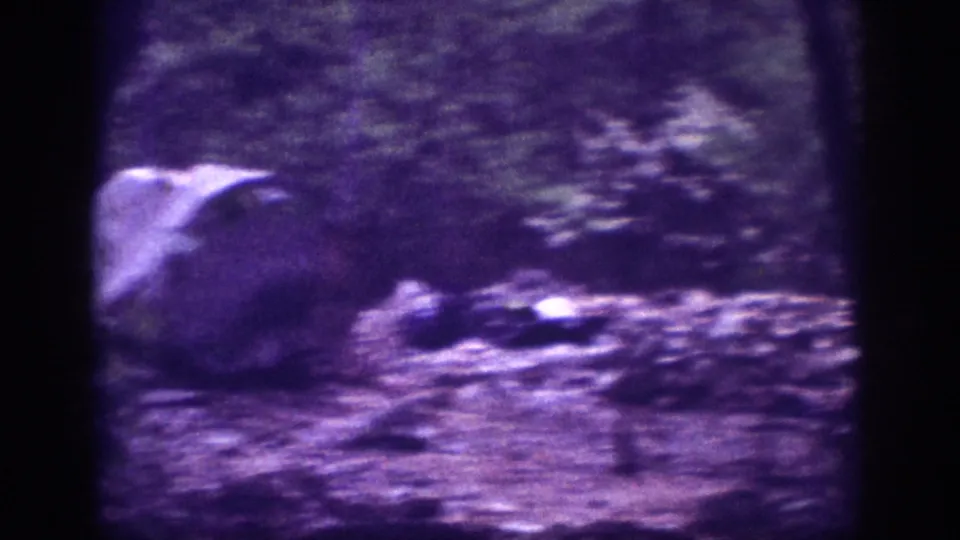 Rock formation amid trees and dense undergrowth; a figure appears partially visible in this heavily purple-shifted 8mm frame from circa 1963.