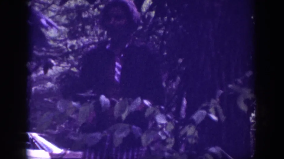 8mm home movie frame from a 1963 Tennessee roadside stop — dense foliage fills the foreground as a partial view of a 1960s American sedan appears at the lower edge, strong purple film cast.