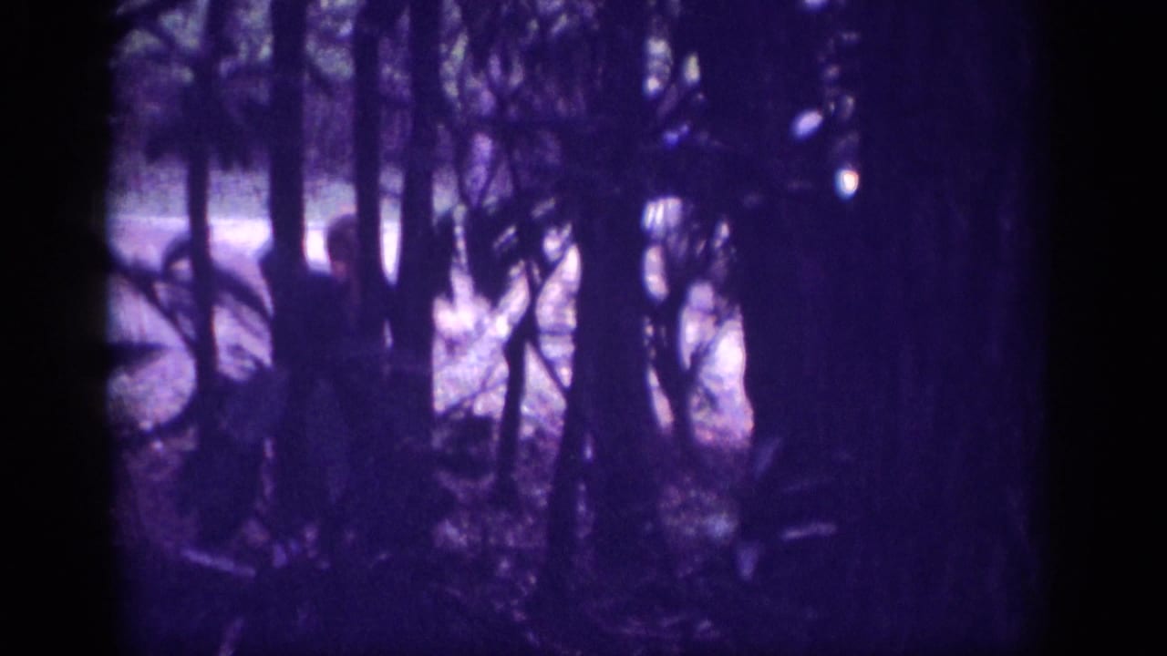 Wooded scene with strong purple color cast; a dark figure and the rear of a light-colored car are partially visible through dense tree trunks.