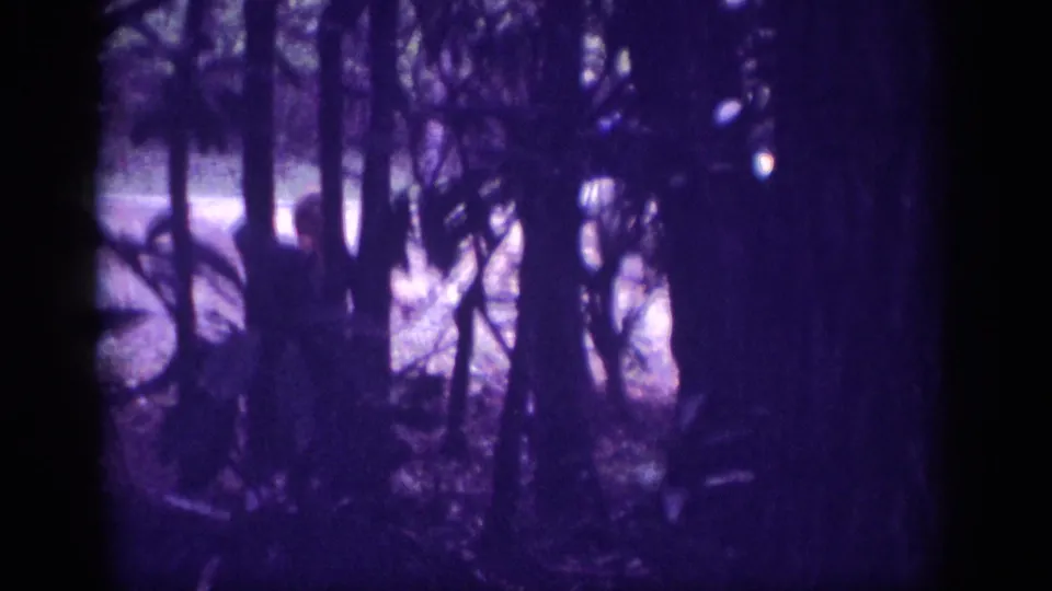 8mm home movie frame, c.1963, Memphis Tennessee; figure and sedan rear glimpsed through dense pine woodland with strong violet emulsion shift.