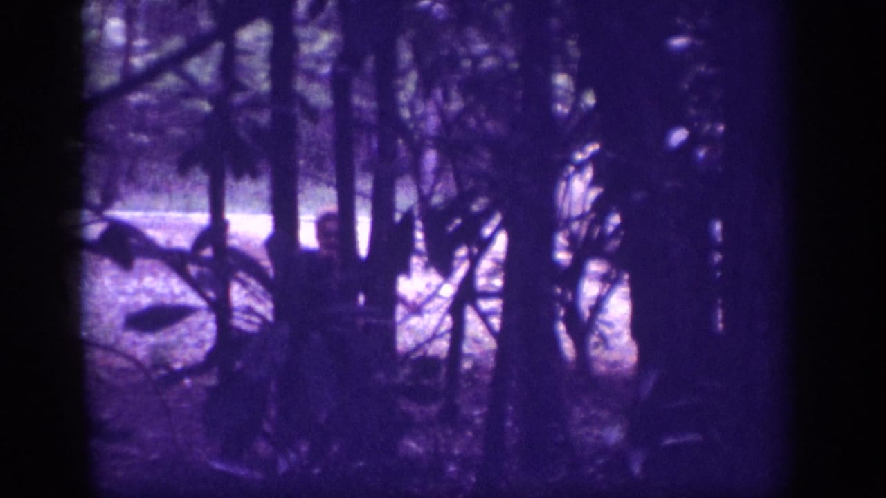 Similar wooded scene; a figure near a light-colored car is faintly visible through tree trunks under a heavy violet color cast.