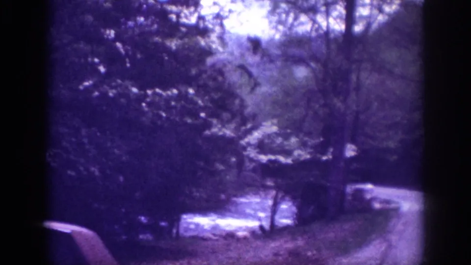 View down a wooded road with a large sedan's rear in the lower foreground; trees arch overhead and light filters through the canopy in this 8mm home movie scene, possibly 1963 Tennessee.