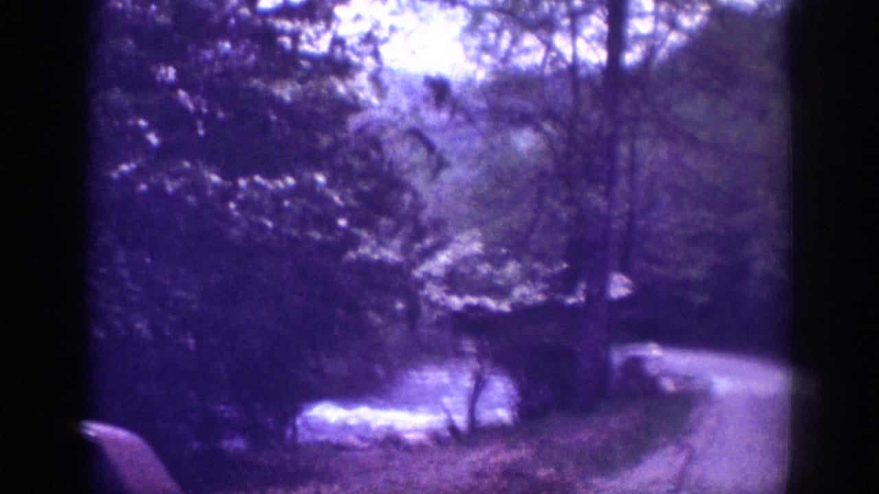 Curving dirt road through dense woodland with a river at left, strong purple color cast from aged 8mm film.