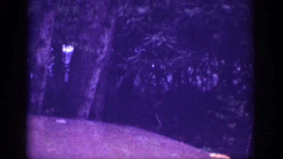 8mm film frame from 1963 of a dirt road under dense tree cover with a strong purple-red dye-shift from aged reversal stock.