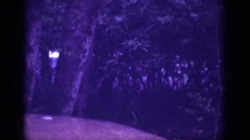 8mm home movie frame from 1963 of a dark forest interior with tall tree trunks, a bright canopy light point, and strong purple dye-shift from film aging.