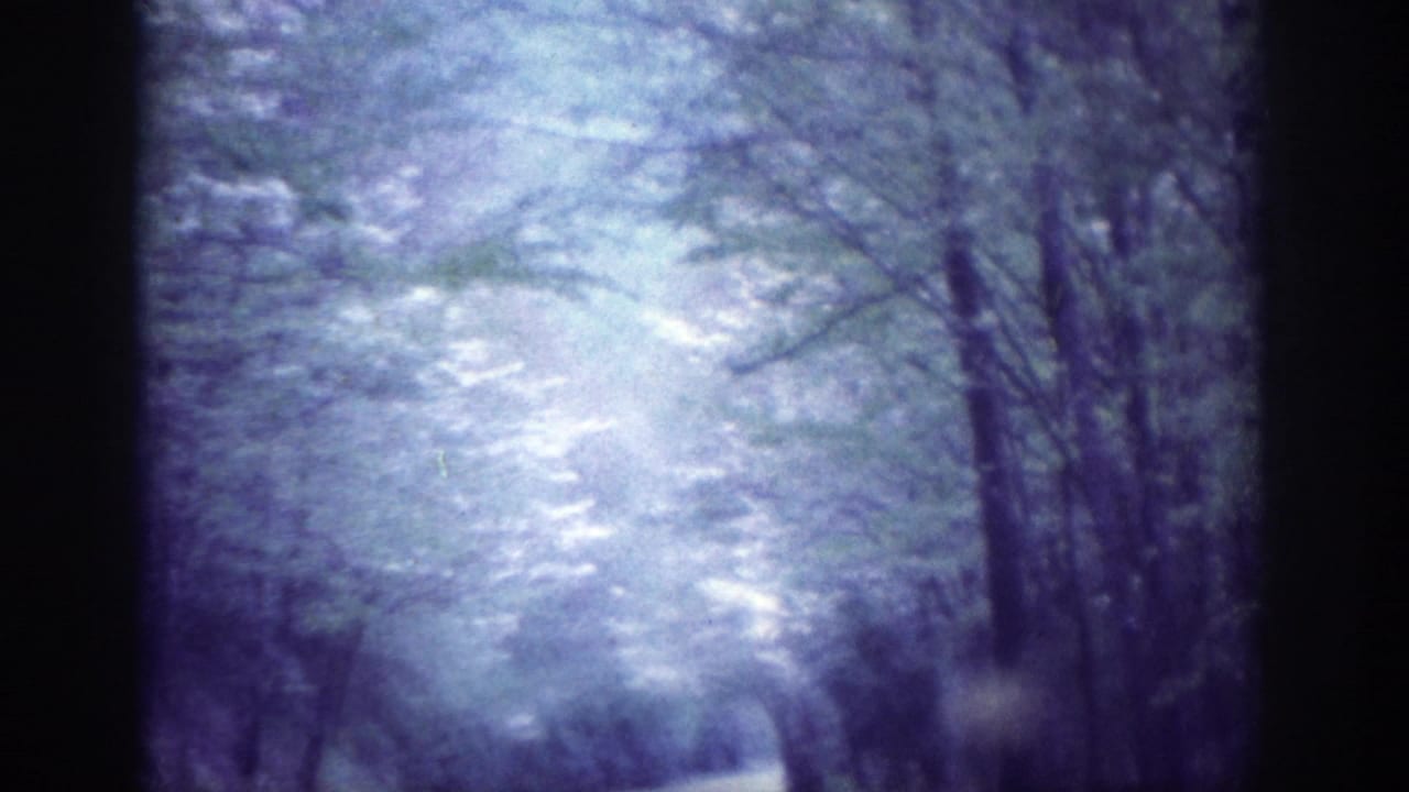 POV driving shot through a snow-laden wooded road, attributed to Memphis Tennessee 1963, on aged 8mm film with pronounced blue-purple dye shift and motion blur.