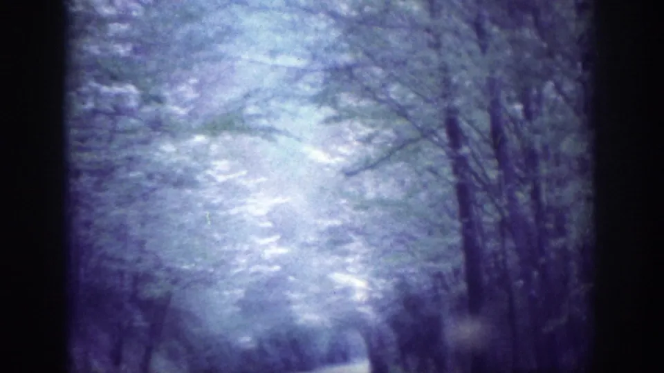 POV driving shot through a snow-laden wooded road, attributed to Memphis Tennessee 1963, on aged 8mm film with pronounced blue-purple dye shift and motion blur.