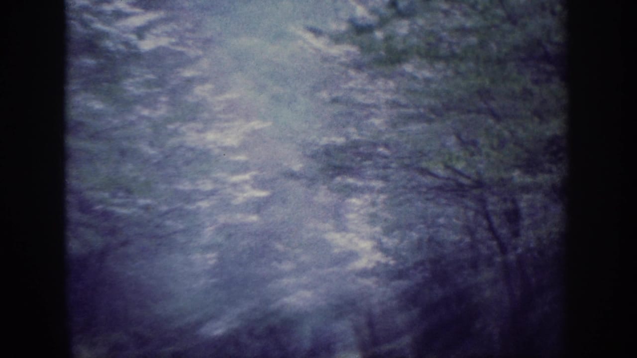 Moving forward through dense snow-covered trees, heavy motion blur and blue-purple film aging visible throughout the frame.