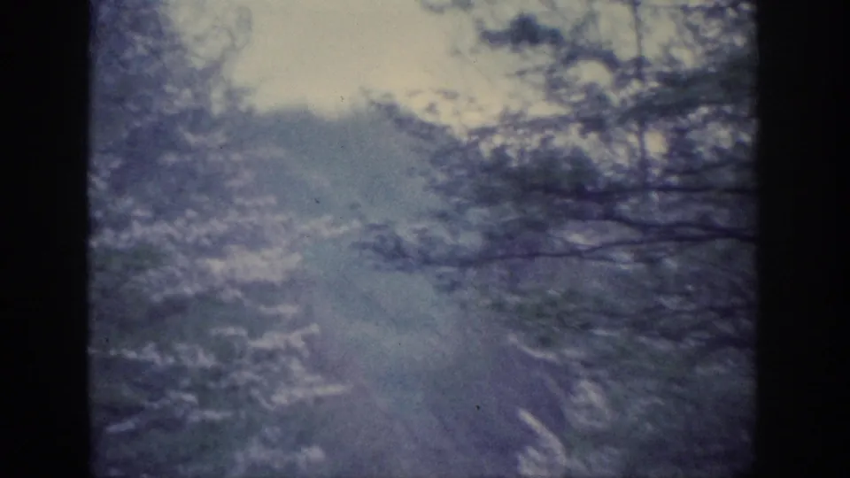 Snow-laden branches and diffuse winter sky filmed from a moving car, likely Tennessee 1963, with a cooler 8mm color rendering emerging mid-clip.