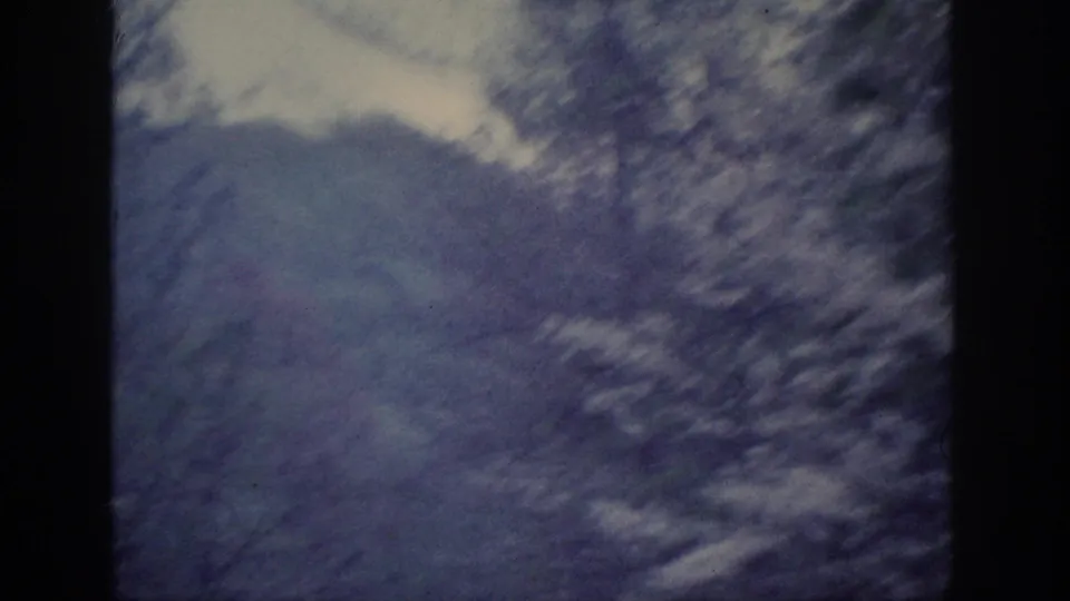 Passing winter treeline with snow and pale overcast sky, closing frame of a 5-second 8mm clip attributed to Memphis, Tennessee, 1963.