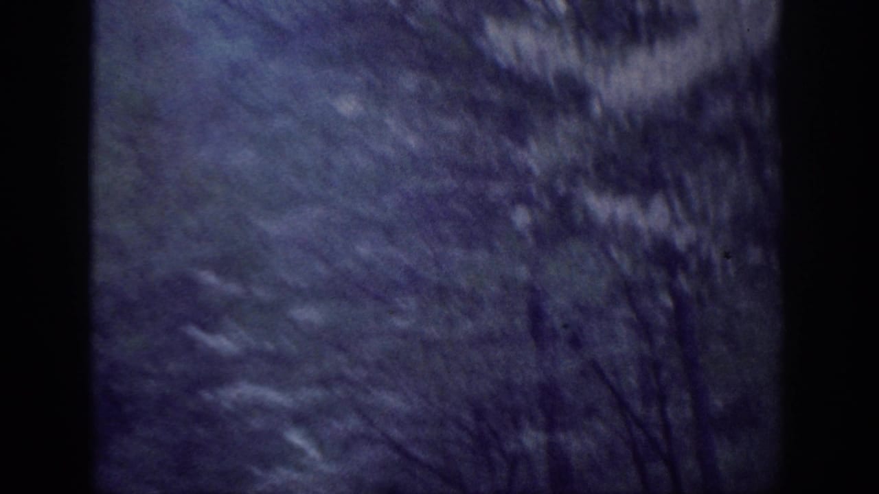 Moving vehicle shot through tree canopy, blue-green tinted 8mm film frame showing blurred deciduous trees overhead.