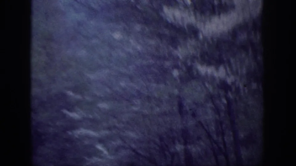 8mm home movie frame circa 1963, blurred tree canopy viewed through a vehicle window, blue-green film cast, rural wooded road in the American South.