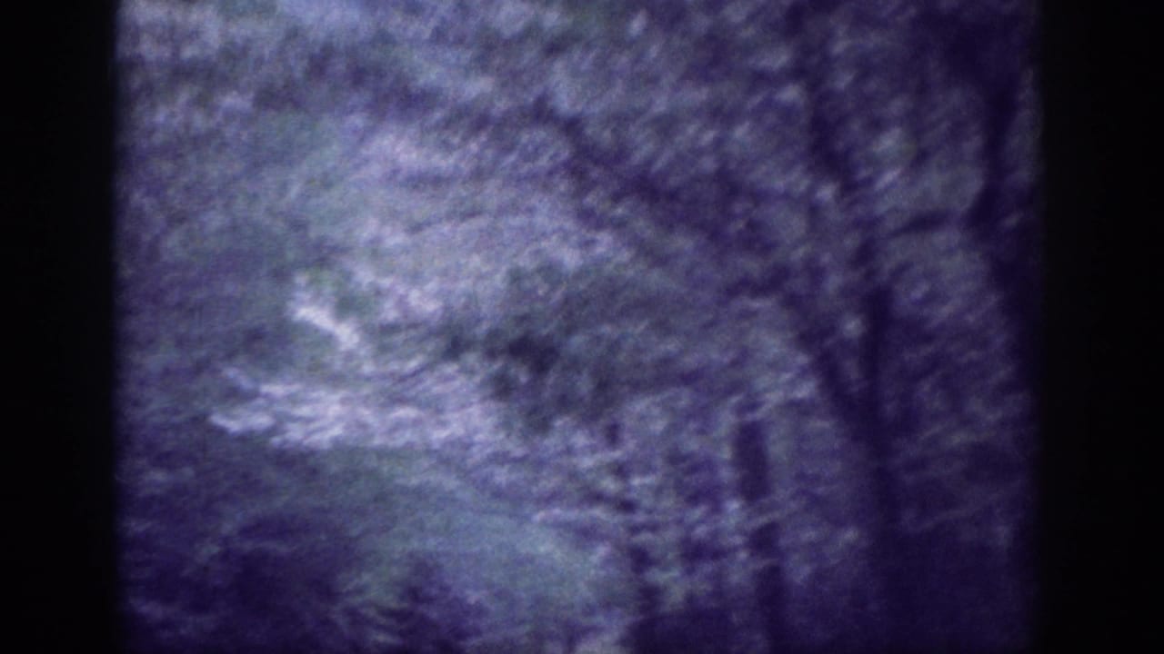 8mm home movie frame circa 1963, tree canopy viewed from a moving vehicle, dominant purple-blue dye-shift tint over wooded rural road.