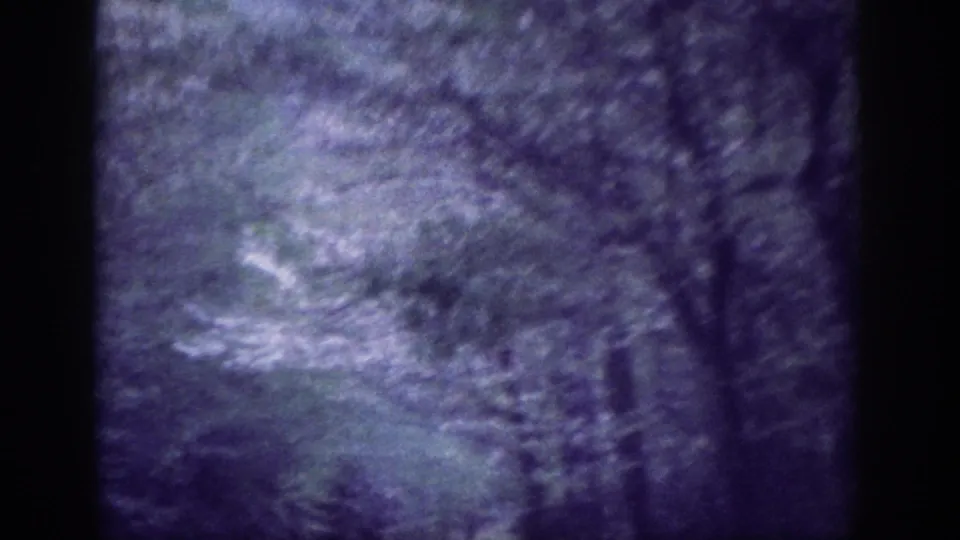 8mm home movie frame circa 1963, tree canopy viewed from a moving vehicle, dominant purple-blue dye-shift tint over wooded rural road.