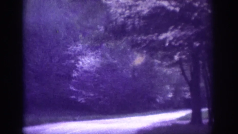 Forward road POV through leafy trees with lens flare, circa 1963; violet 8mm color shift with warm highlights in foliage.