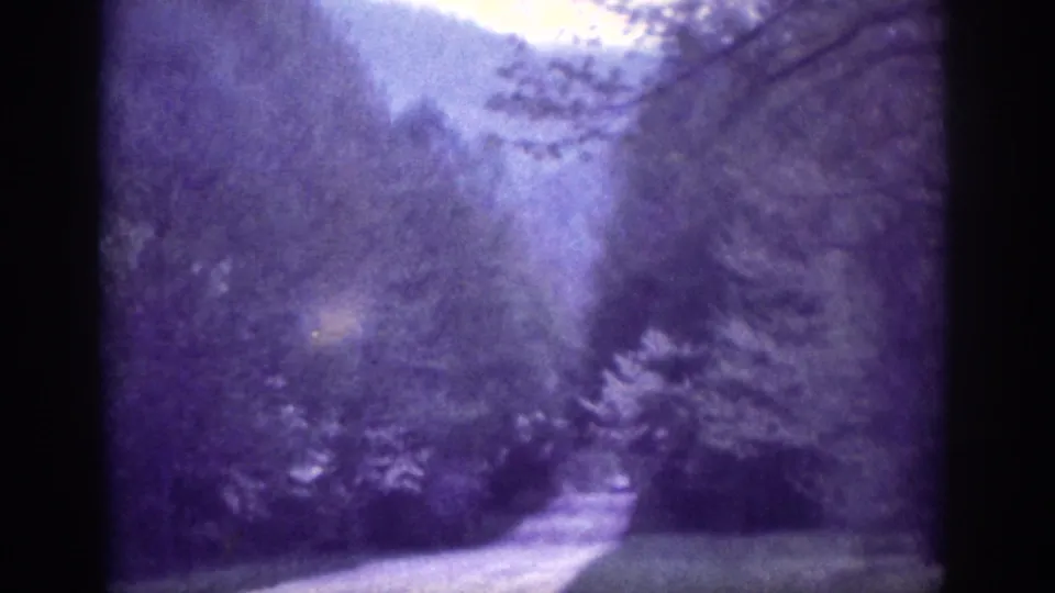 Vehicle-perspective shot of a winding forest road, circa 1963, attributed to the Memphis area; aged 8mm stock with pronounced purple dye-shift and canopy overhead.