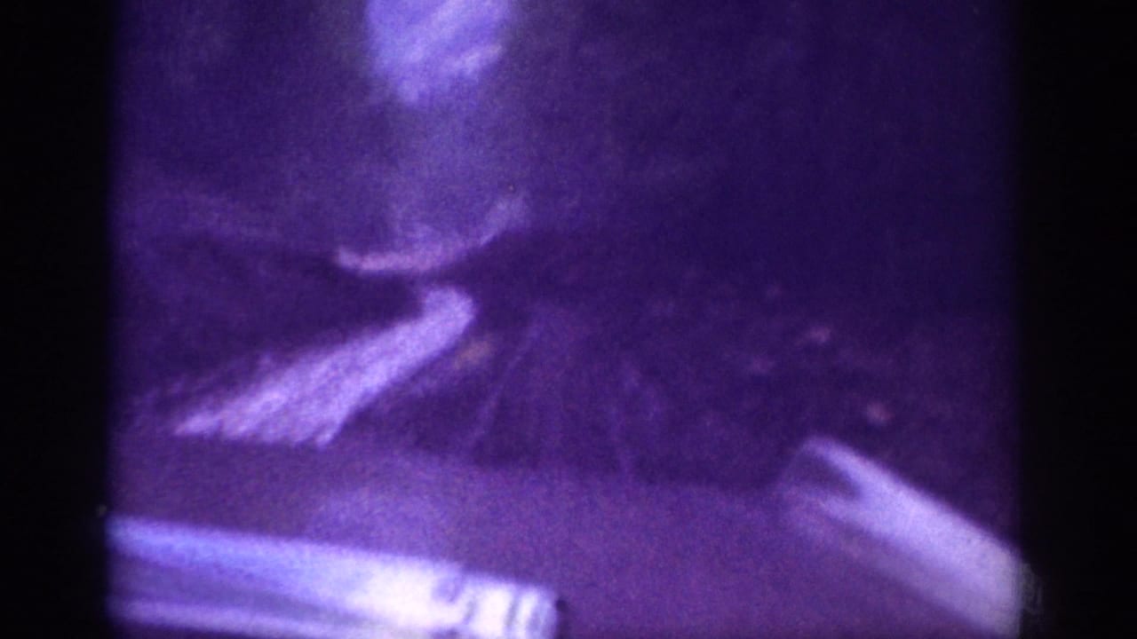 Purple-cast 8mm frame showing a winding dirt path through dark trees, vehicle dashboard edge at bottom.