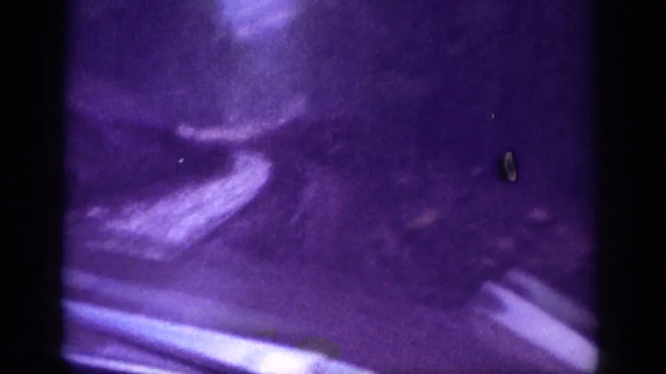 1963 8mm footage, second frame, showing the dirt track through violet-shifted woodland with a film-dust artifact speck at upper right.