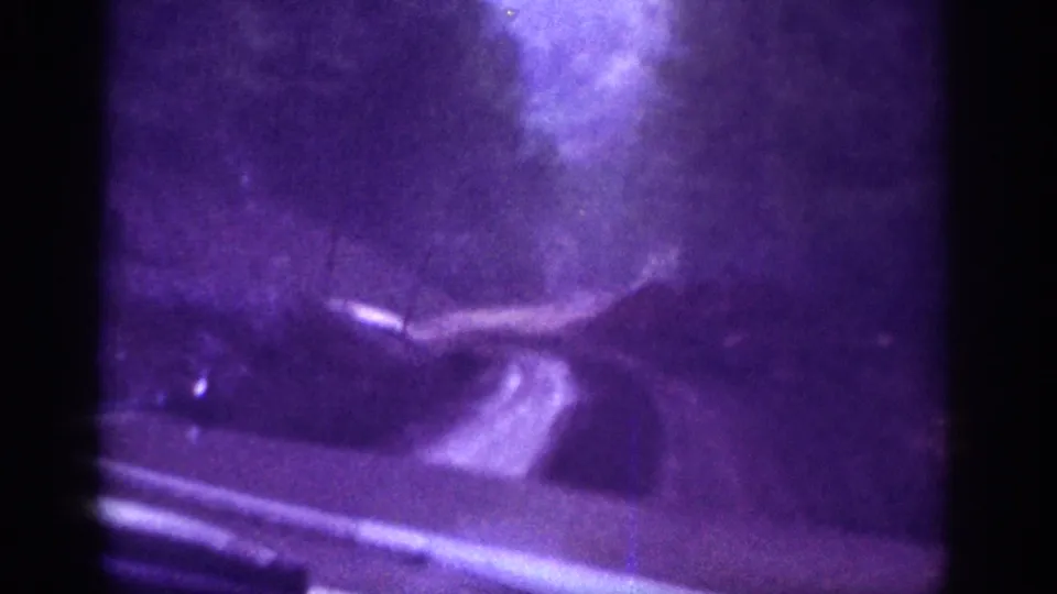 1963 8mm footage, final frame, winding dirt track through heavily violet-shifted forest; chrome vehicle trim visible at bottom edge with motion blur.