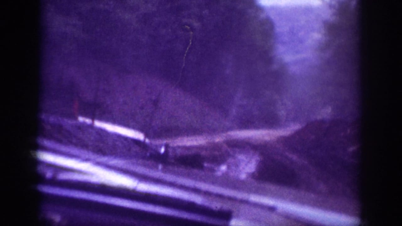 Vehicle interior chrome window trim prominent in foreground; dirt road curves ahead through trees under purple-cast 8mm exposure.