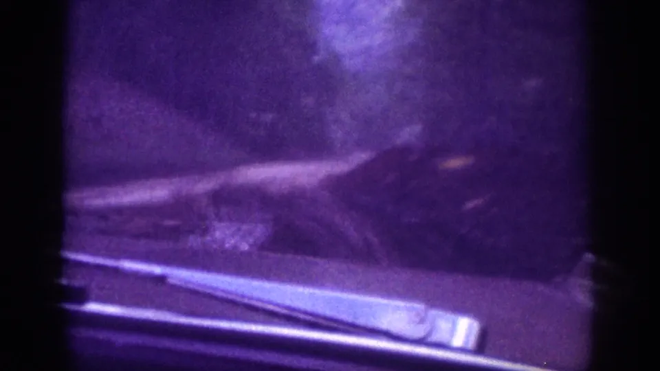8mm home movie interior shot with dashboard detail and a blurred treeline ahead through the windshield, circa 1963.