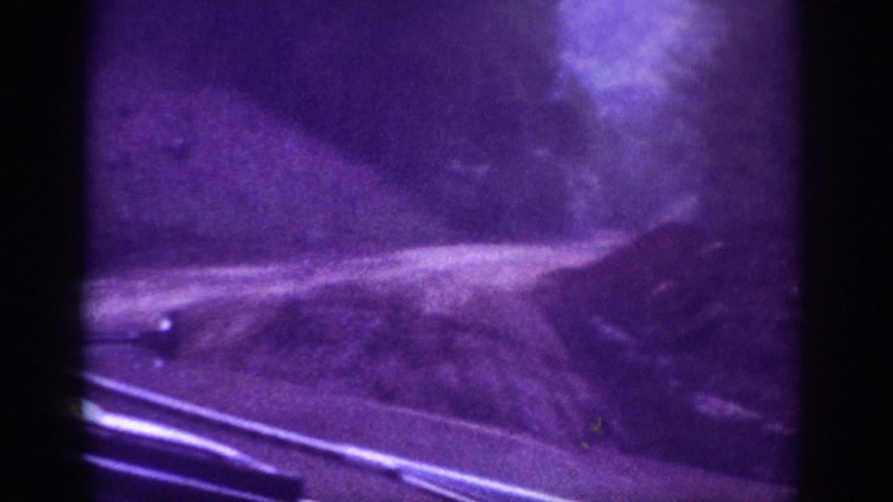 8mm home-movie POV from inside a moving vehicle, metadata-dated 1963, showing a winding road flanked by trees under a heavy purple-violet color-shifted film cast.