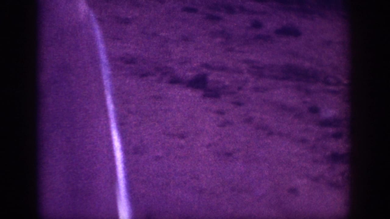 Opening frame of a 1963 8mm home movie attributed to Memphis, Tennessee; a vertical light flare and purple color cast dominate the dark nighttime exterior.