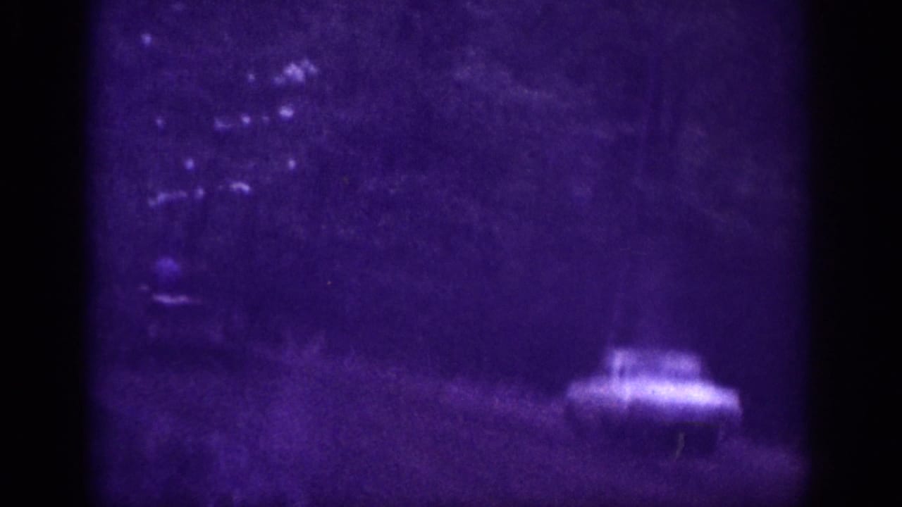 Small pale vehicle at middle distance on a dark wooded road, nearly lost in heavy purple cast and underexposure.