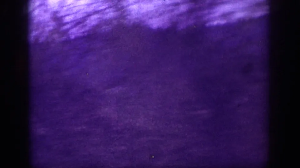 Motion-blurred 8mm frame with pronounced purple dye-fade and streaking tree canopy, apparently shot from a moving vehicle on a mountain road.