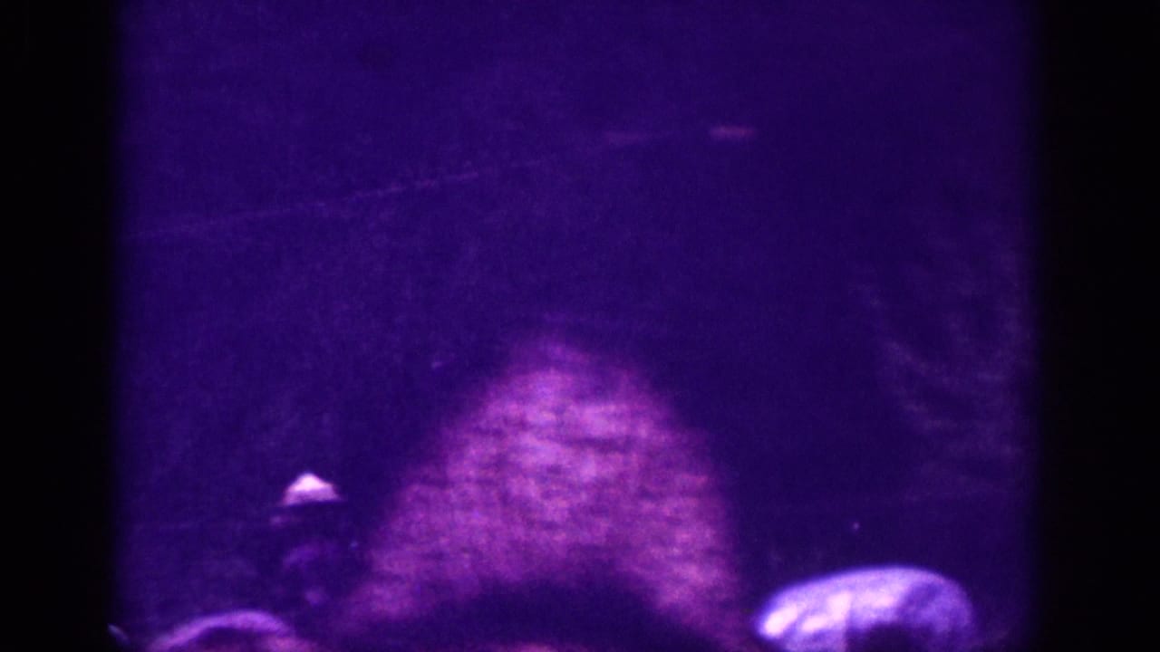Low-light 8mm frame from a 1963 Memphis road trip showing a heavily motion-blurred silhouette against a deep purple-cast night.
