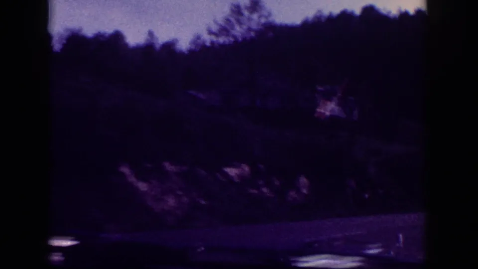 8mm frame with dense overhanging trees casting deep shadow over the road and a film exposure drop; consistent with a heavily canopied rural highway section, circa 1963.
