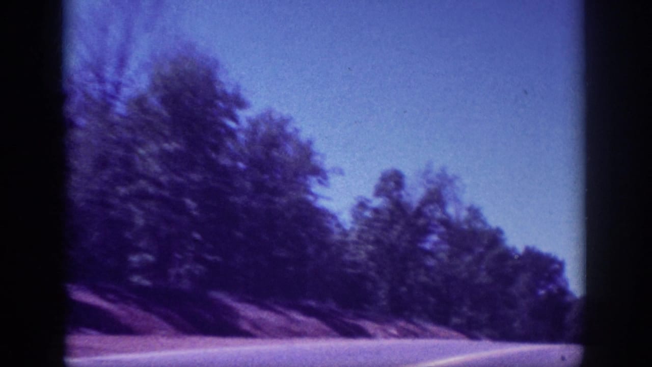 Through-windshield view of a winding two-lane road flanked by dense trees, shot on 8mm in the Memphis, Tennessee area, ca. 1963.