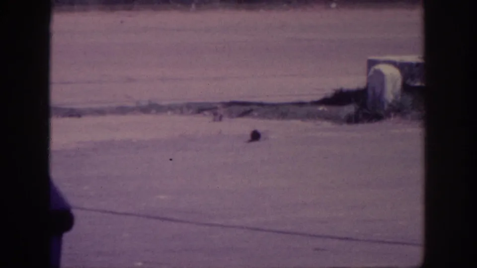 8mm home-movie frame of the same dusty road moments later; small dark object on the road surface and an overhead wire crossing the scene are both visible.