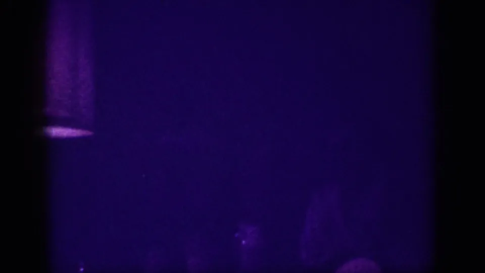 Near-black interior shot with heavy purple color cast from an 8mm home movie; no furnishings or faces clearly discernible. Memphis, Tennessee, circa 1963.
