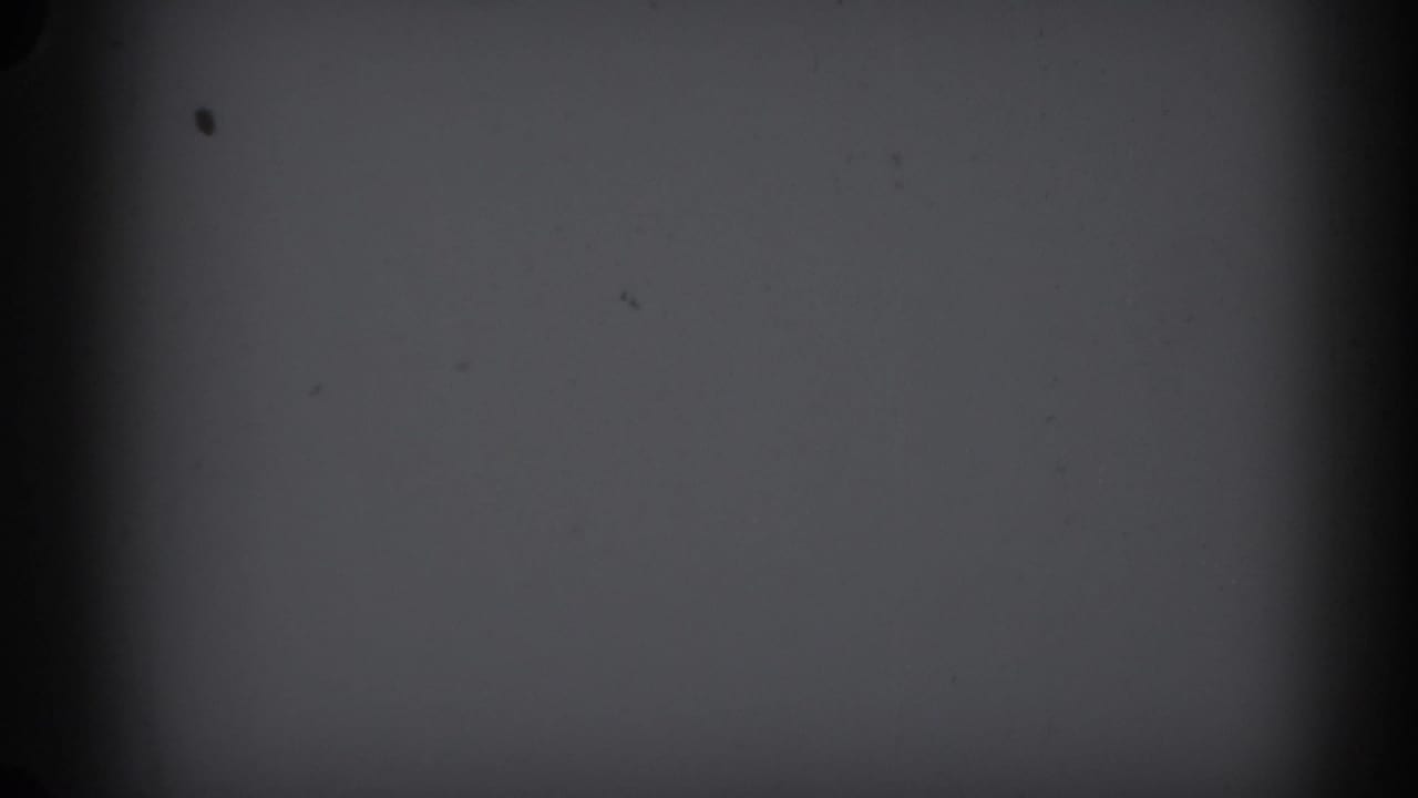 Opening frame from 1965 8mm stage footage showing a blank overexposed area and black field — likely a camera-start or pan-in transition before the performer appears.