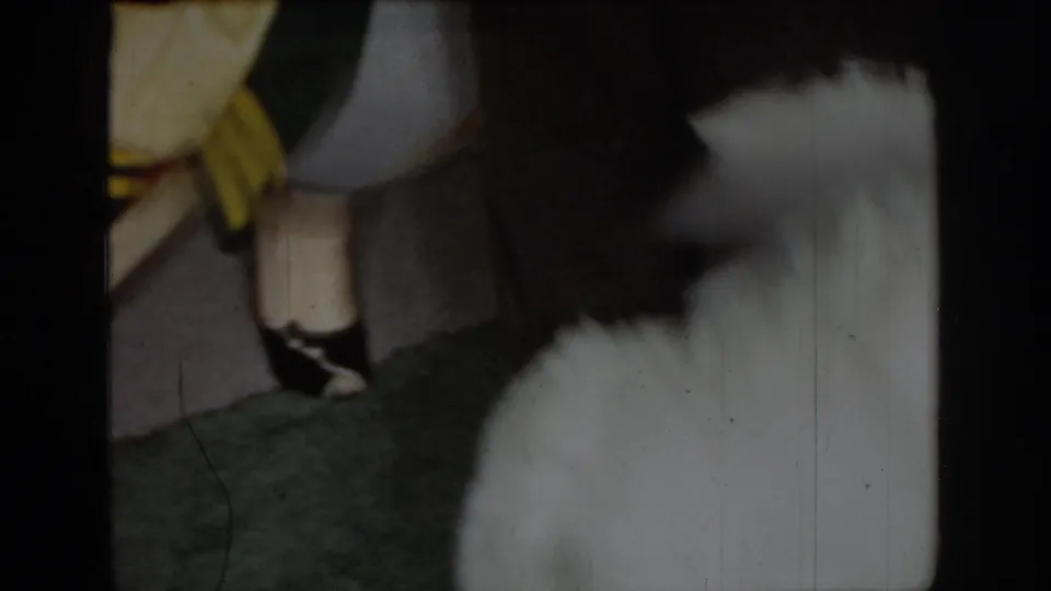 Out-of-focus 8mm home movie opening frame showing a white dog in motion against a domestic interior background, circa 1965.
