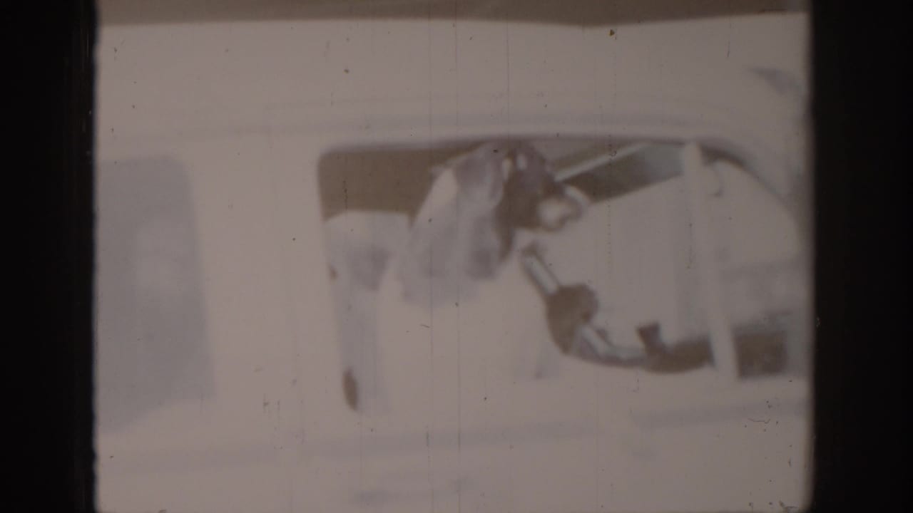 Severely overexposed and faded 8mm frame showing a dog through or near a vehicle window; emulsion loss renders most detail illegible, circa 1965.
