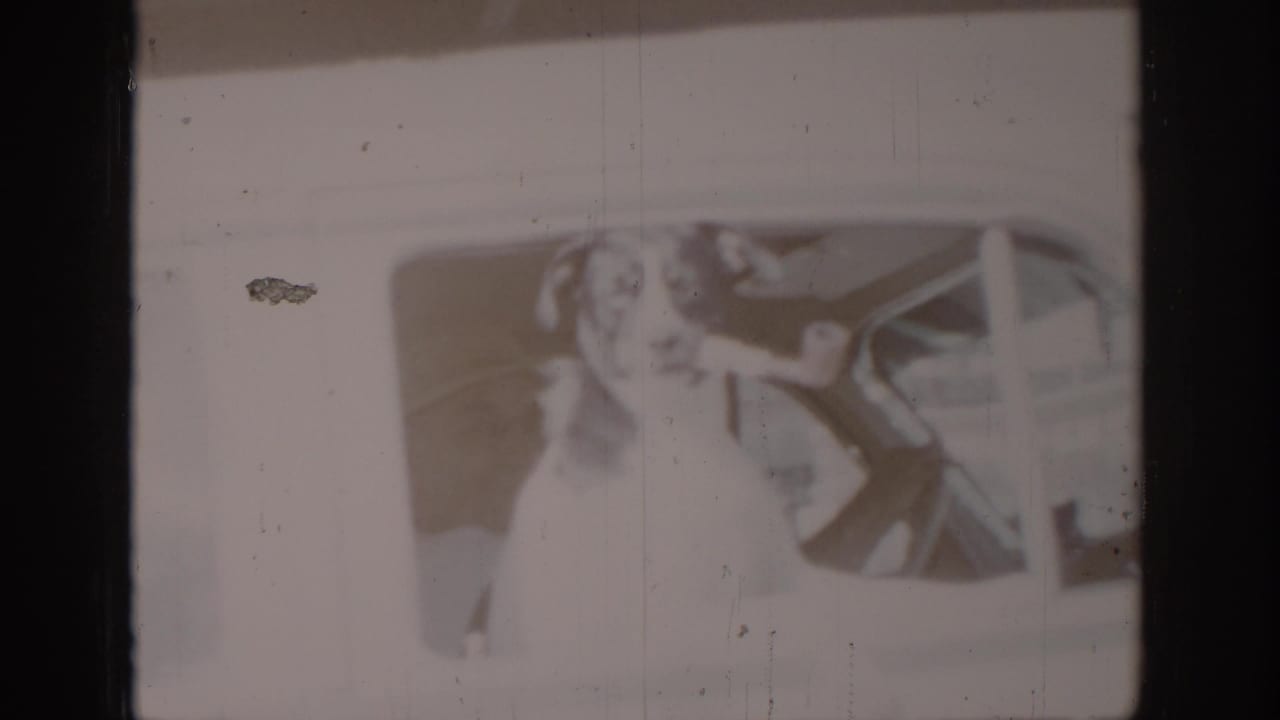 Faded 8mm frame showing a light-colored dog looking through a vehicle window; an object near the dog's mouth may be the prop pipe referenced in the clip title, though emulsion fading prevents confirmation, circa 1965.