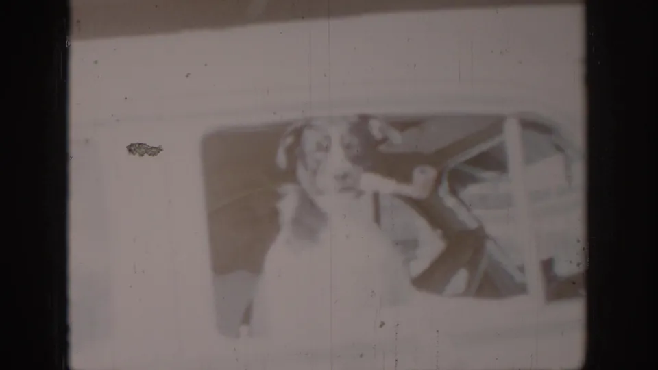 Faded 8mm frame showing a light-colored dog looking through a vehicle window; an object near the dog's mouth may be the prop pipe referenced in the clip title, though emulsion fading prevents confirmation, circa 1965.