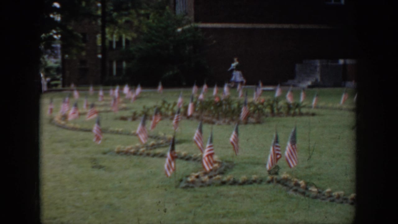 Dozens of small American flags in curved garden-bed rows on a lawn, woman in light dress in the background near a brick building.